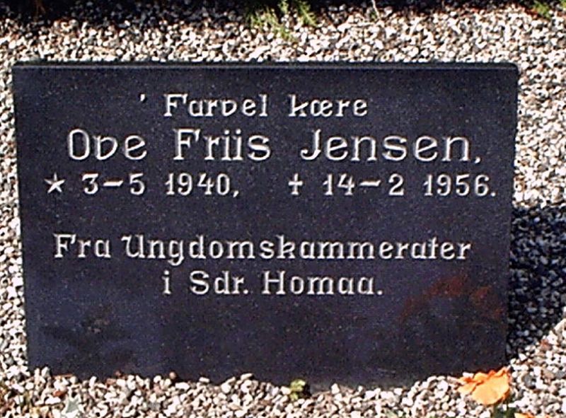 Ove Friis Jensen1.JPG